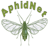 AphidNet